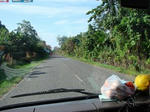 66cd5a69_240.jpeg