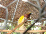 7965ff02_240.jpeg