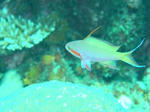 a030760b_240.jpeg