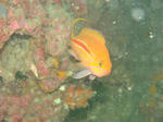 DSC03159.JPG