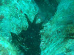 DSC03192.JPG