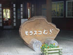 DSC03166.JPG