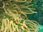 DSC03155.JPG