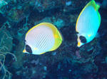 DSC03092.JPG