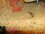 337cc6a6.jpg