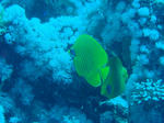 4baa3028.jpg