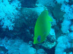 b2930c87.jpg