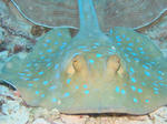 6812a7e3.jpg