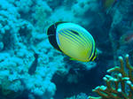 016a42cb.jpg