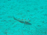 3c615784.jpg