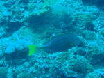 11a60830.jpg