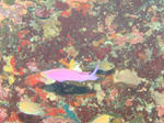 7cdb564b.jpg
