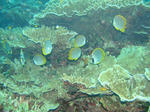46f769eb.jpg