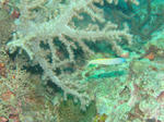 105.jpg