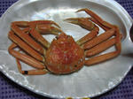 a33357e8.JPG