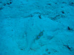 DSC04859.JPG