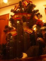 0812050020.JPG