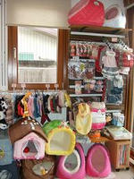 BLOG0901210004.JPG