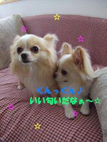 c37568d2.JPG