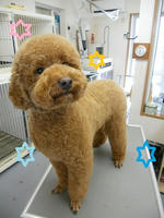 DSCN6169.JPG