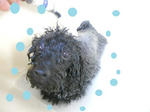 DSCN1907.jpg