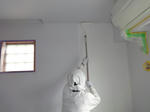 DSC00663.JPG