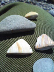 海岸で探した三角