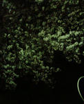 2009-0407-1931.jpg