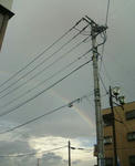 2009-0508-1729.jpg