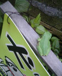 2009-0530-1712.jpg