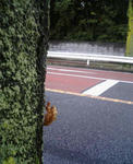 2009-0725-0713.jpg