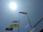 CIMG0141a.jpg