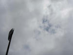 CIMG0134a.jpg