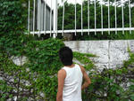 CIMG0239a.jpg
