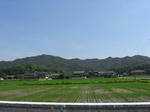 CIMG0289a.jpg
