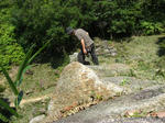 CIMG0287a.jpg