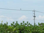 CIMG0267a.jpg