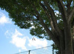 IMG_0013b.jpg
