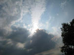 IMG_0059a.jpg