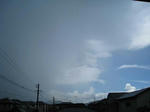 IMG_0006a.jpg