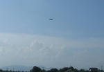IMG_0040a.jpg