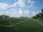 IMG_0099b.jpg
