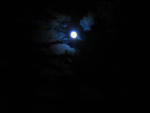 IMG_0241a.jpg