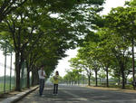 CIMG0179ab.jpg