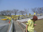 IMG_3340a.jpg