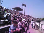 IMG_3380a.jpg