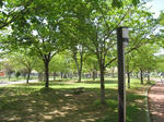 IMG_0690a.jpg