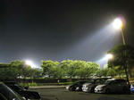 IMG_1113a.jpg