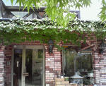 NEC_0364.JPG