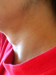 nodo_20121104_01.jpg